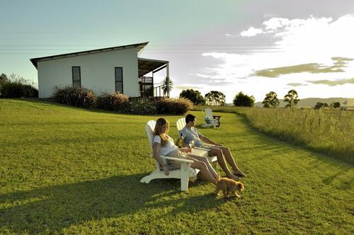 Tonic Hotel Lovedale Buitenkant foto