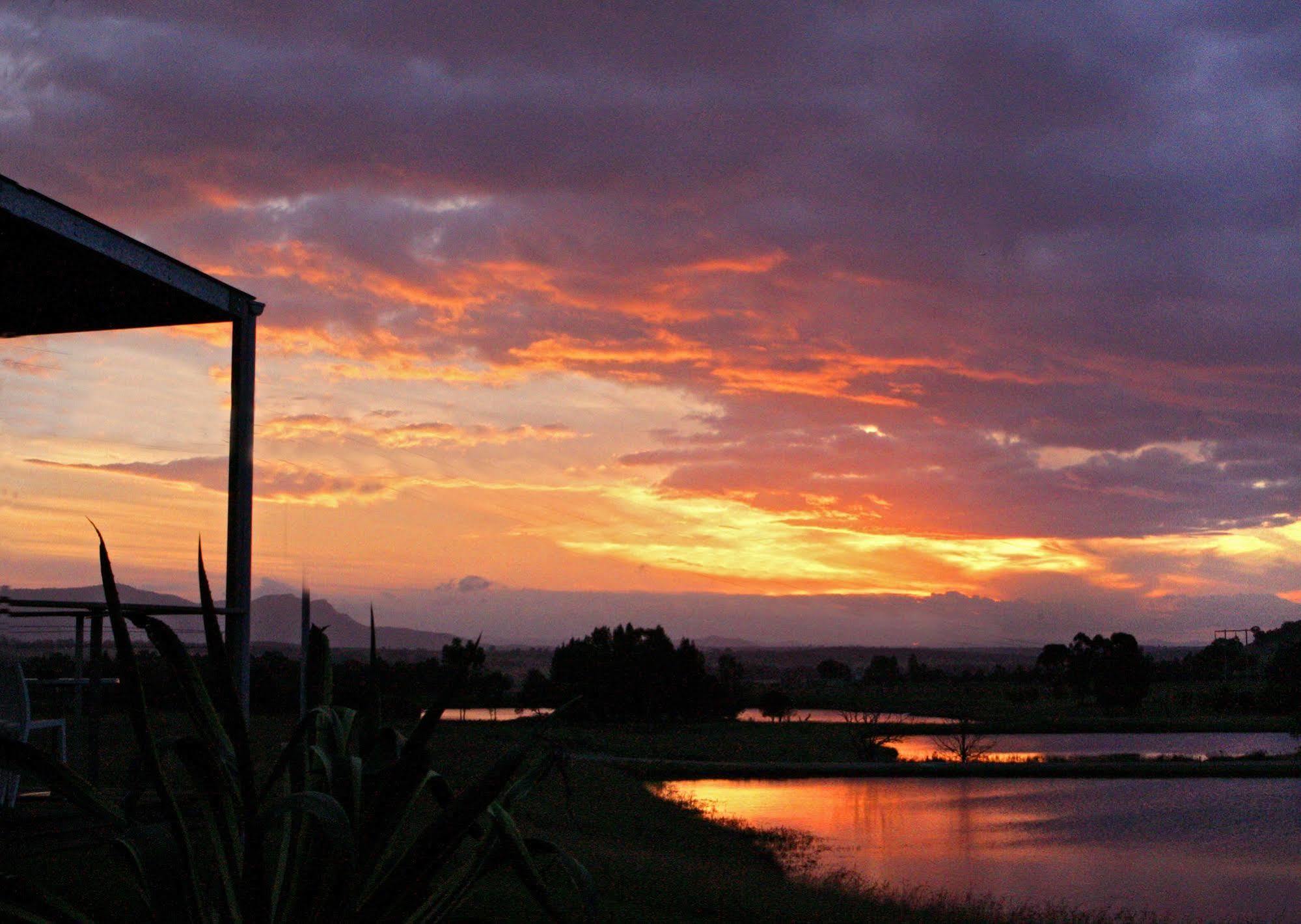 Tonic Hotel Lovedale Buitenkant foto
